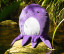 SQUIDGY OCTOPUS
