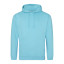 COLLEGE HOODIE