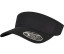 110 VISOR