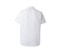 MEN'S SHORT-SLEEVE SHIRT