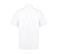 MEN'S CLASSIC SS OXFORD SHIRT